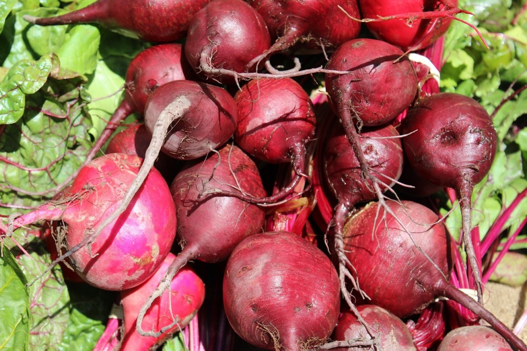 Perché mangiare la barbabietola rossa?